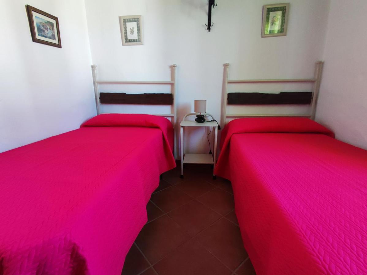 Vila El Cortijo De Pepa Conil De La Frontera Exteriér fotografie